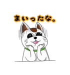 オリにゃん その2（個別スタンプ：8）