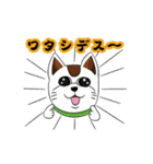 オリにゃん その2（個別スタンプ：12）