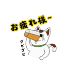オリにゃん その2（個別スタンプ：15）