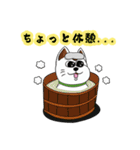 オリにゃん その2（個別スタンプ：33）