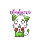 Cat tenten（個別スタンプ：19）