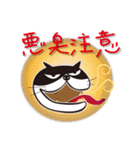ねこはち Vol.1（個別スタンプ：1）