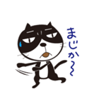 ねこはち Vol.1（個別スタンプ：14）