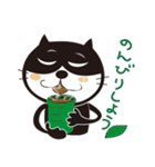 ねこはち Vol.1（個別スタンプ：24）