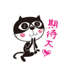 ねこはち Vol.1（個別スタンプ：35）