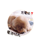 心の想いを上手く伝えるスタンプ（個別スタンプ：8）