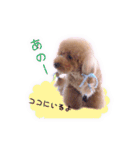 心の想いを上手く伝えるスタンプ（個別スタンプ：16）