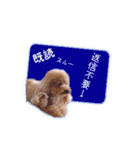 心の想いを上手く伝えるスタンプ（個別スタンプ：27）