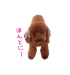 心の想いを上手く伝えるスタンプ（個別スタンプ：30）