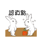 The daily routine of rabbits - 3（個別スタンプ：3）