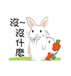 The daily routine of rabbits - 3（個別スタンプ：22）