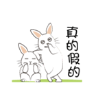 The daily routine of rabbits - 2（個別スタンプ：19）