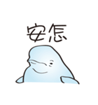 cute beluga whale（個別スタンプ：1）