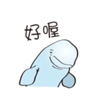 cute beluga whale（個別スタンプ：2）