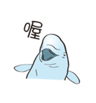 cute beluga whale（個別スタンプ：4）