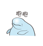 cute beluga whale（個別スタンプ：5）