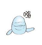 cute beluga whale（個別スタンプ：8）