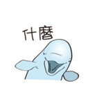 cute beluga whale（個別スタンプ：9）