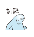 cute beluga whale（個別スタンプ：11）