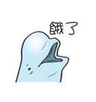 cute beluga whale（個別スタンプ：12）