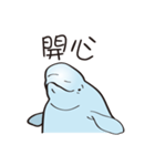 cute beluga whale（個別スタンプ：15）