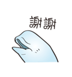 cute beluga whale（個別スタンプ：17）