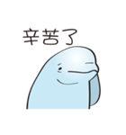 cute beluga whale（個別スタンプ：19）