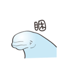 cute beluga whale（個別スタンプ：20）
