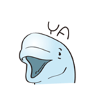 cute beluga whale（個別スタンプ：22）