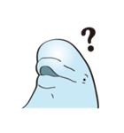 cute beluga whale（個別スタンプ：25）