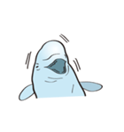 cute beluga whale（個別スタンプ：31）