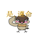 Odd bird : Archey and ARP（個別スタンプ：11）