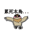 Odd bird : Archey and ARP（個別スタンプ：22）