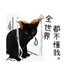 Pets Meow.（個別スタンプ：16）