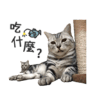 Pets Meow.（個別スタンプ：27）