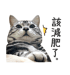 Pets Meow.（個別スタンプ：29）