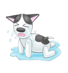 Smelly fart point dog（個別スタンプ：8）