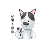 Smelly fart point dog（個別スタンプ：12）