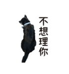 Handsome Dobby（個別スタンプ：12）