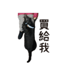 Handsome Dobby（個別スタンプ：16）