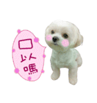 Geely puppy's daily（個別スタンプ：2）