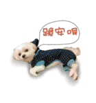 Geely puppy's daily（個別スタンプ：11）