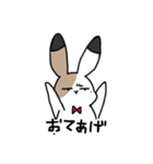さんしょくうさぎさん。2（個別スタンプ：1）