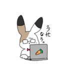 さんしょくうさぎさん。2（個別スタンプ：5）