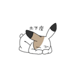 さんしょくうさぎさん。2（個別スタンプ：20）