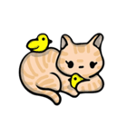 デビッド・猫 Vol.1（個別スタンプ：12）