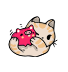 デビッド・猫 Vol.1（個別スタンプ：13）