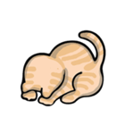 デビッド・猫 Vol.1（個別スタンプ：27）