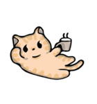 デビッド・猫 Vol.1（個別スタンプ：35）