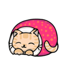 デビッド・猫 Vol.1（個別スタンプ：40）